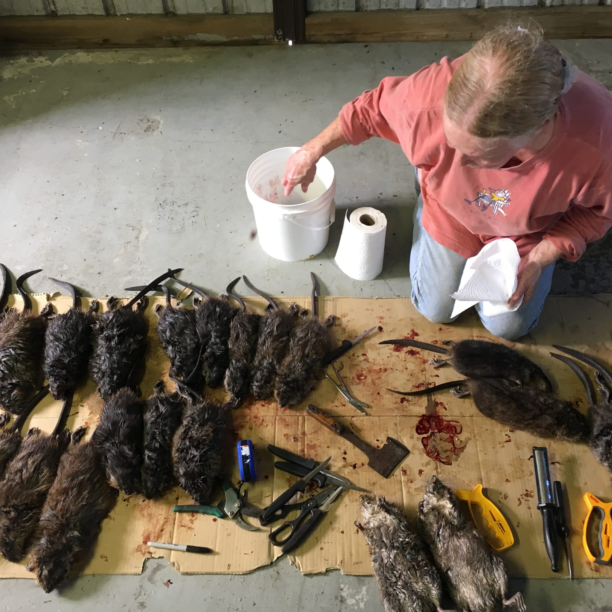 maryland barbecue muskrat cooking