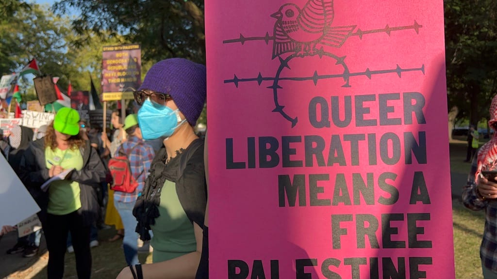 Asra Nomani exposes alliance