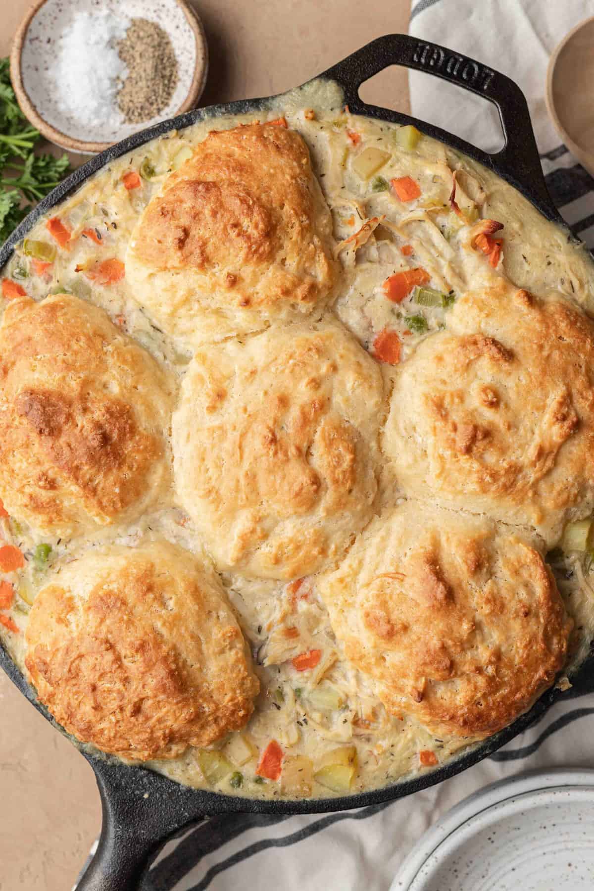Chicken Biscuit Pot Pie