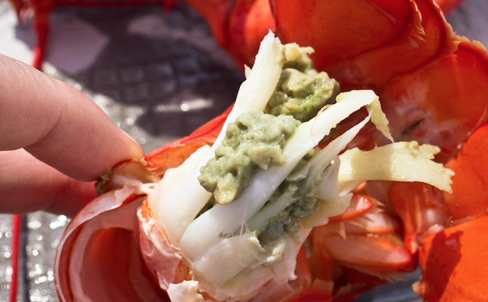 maine tomalley lobster paste