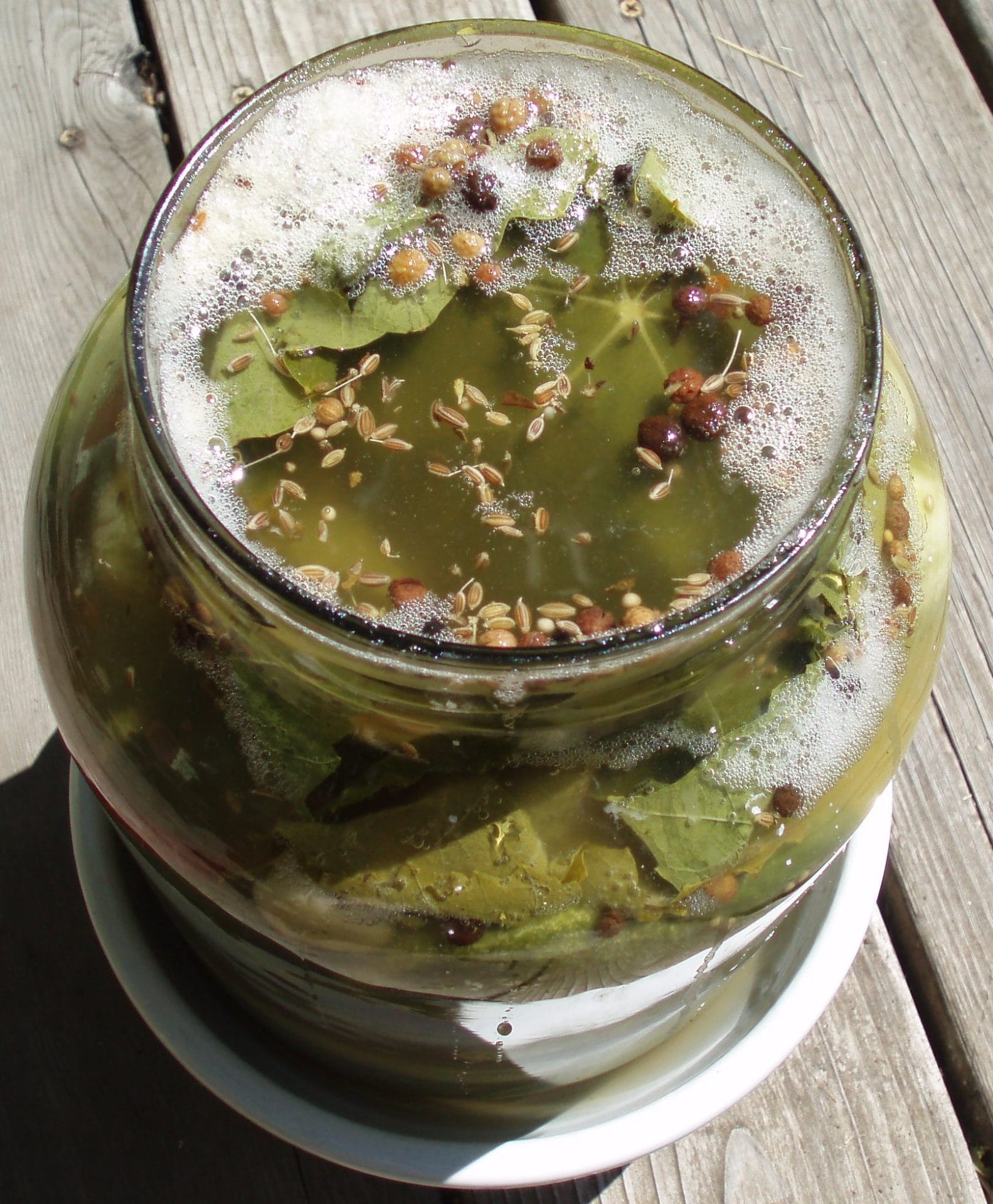 a fermented pickles with bubbles