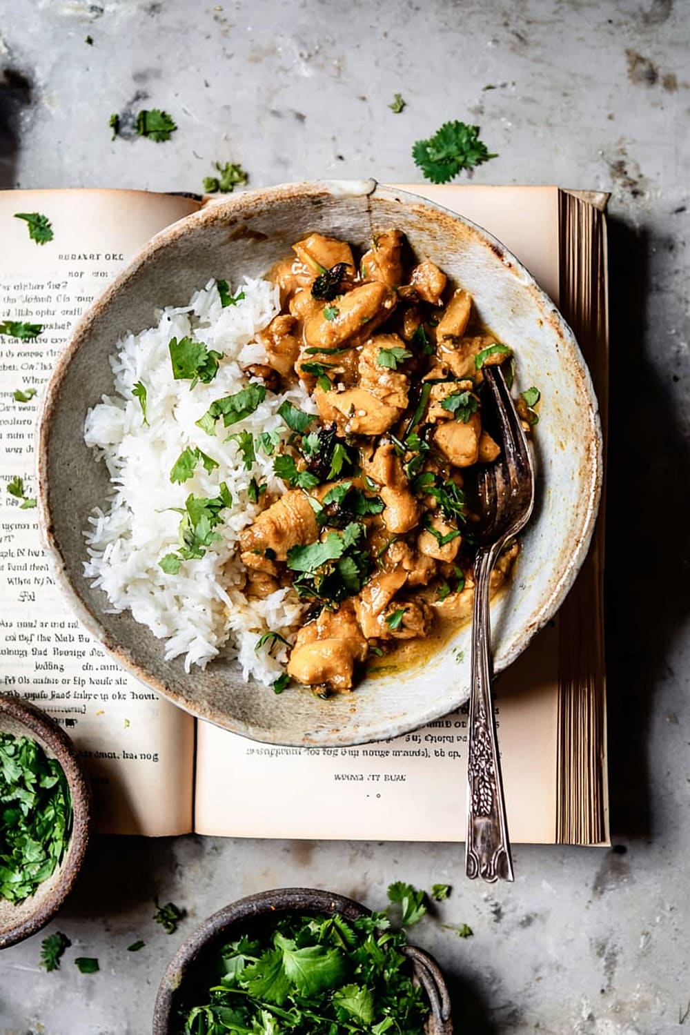Quick Burmese Chicken Curry
