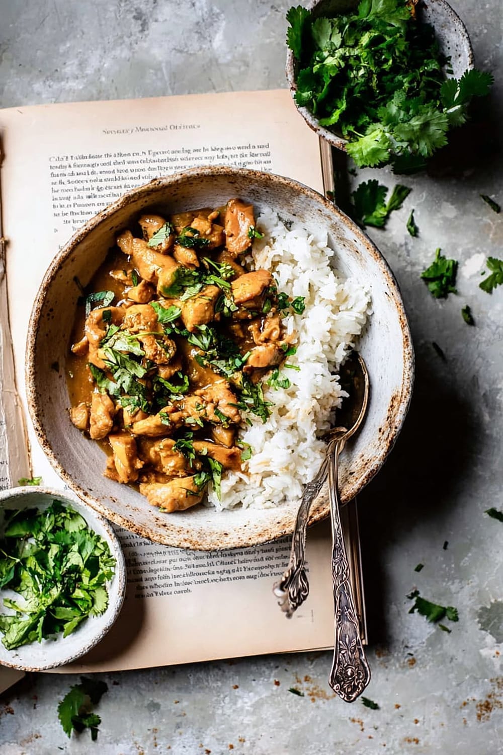 Quick Burmese Chicken Curry