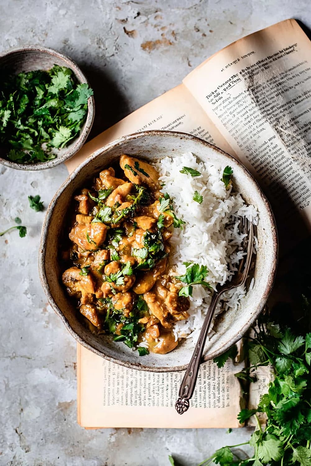 Quick Burmese Chicken Curry