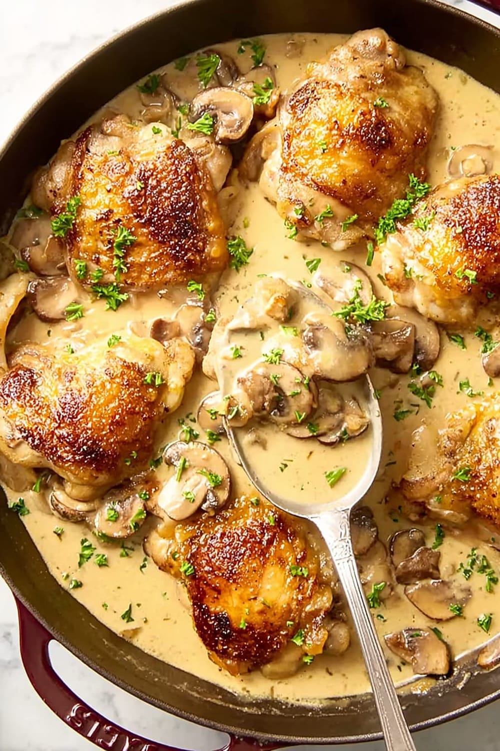 Chicken Fricassée