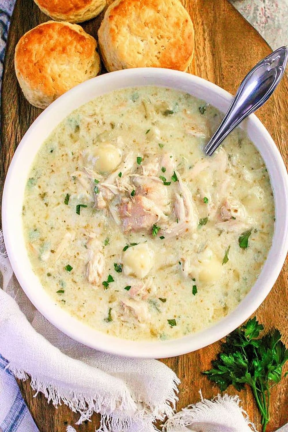 Country Classic Chicken Rivel Soup