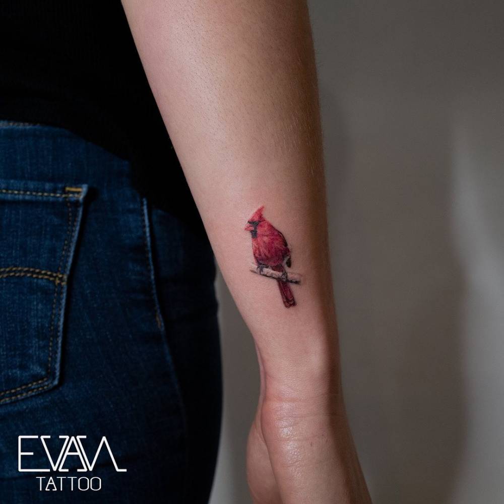 Delicate realism brings this crimson cardinal to life on the forearm, its vibrant red plumage creating a stunning contrast against the skin. The intricate detailing captures every feather with remarkable precision, while the bird's peaceful perch suggests themes of remembrance and spiritual connection 🕊️