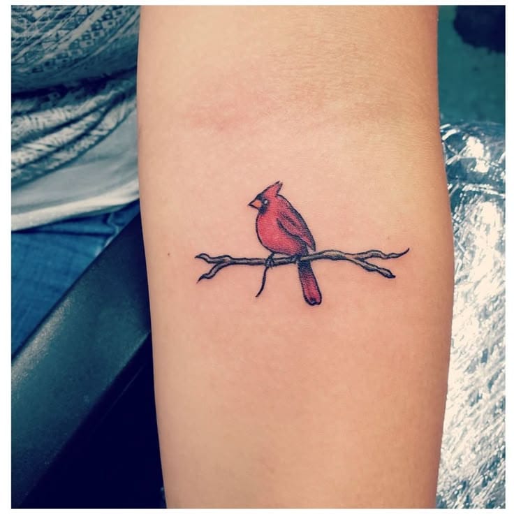 Perched gracefully on a delicate branch, this crimson cardinal brings a touch of nature's elegance to the forearm in stunning detail. The artist's masterful use of red ink creates beautiful depth and dimension, while the simple black linework of the branch provides the perfect contrast to make this feathered friend truly pop ✨