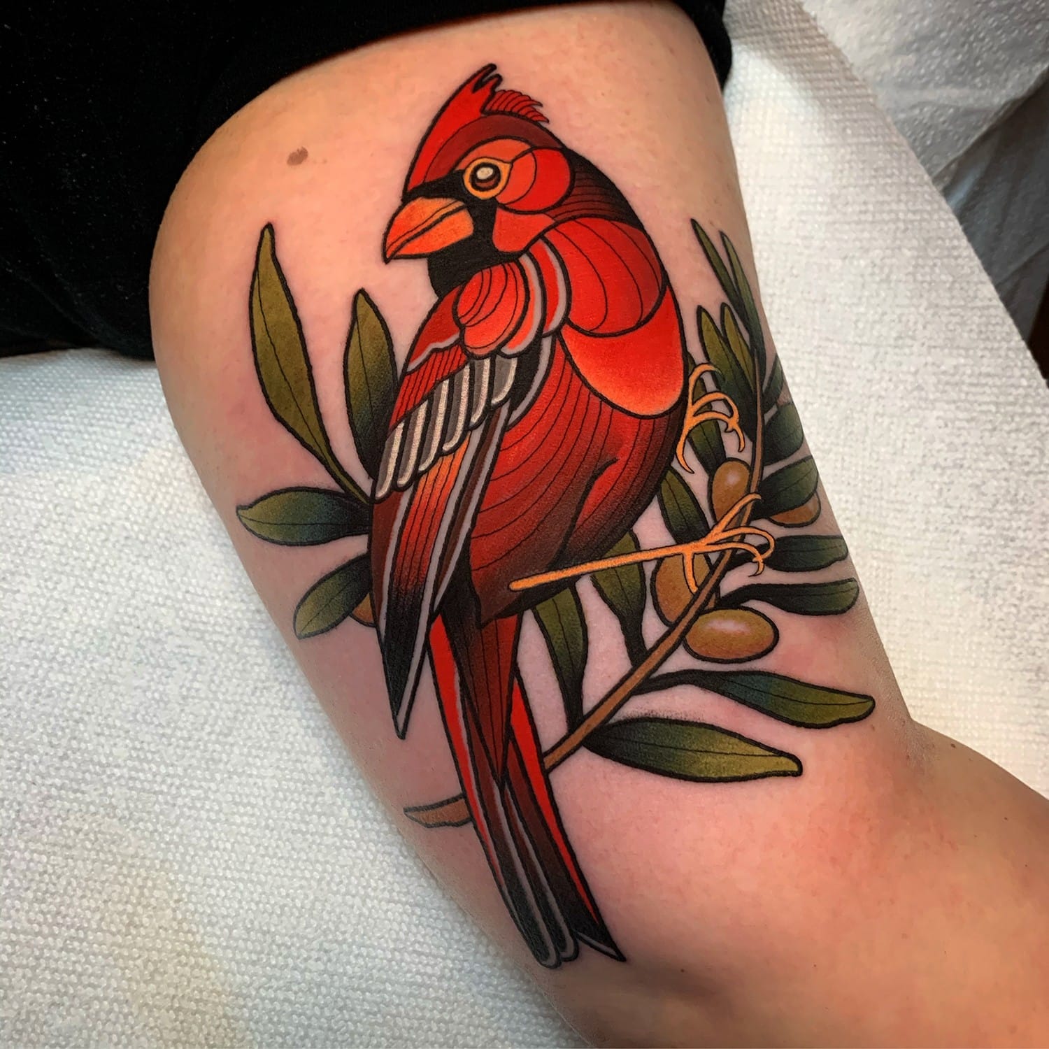 Bold traditional artistry takes flight in this stunning cardinal tattoo, where vibrant crimson plumage contrasts beautifully against rich olive branch details. The neo-traditional style brings incredible depth to the bird's feathers through expert shading and line work, while the strategic thigh placement allows the composition to flow naturally with the body's curves. A perfect blend of classic Americana tattooing with modern technique that celebrates both nature's beauty and timeless craftsmanship.
