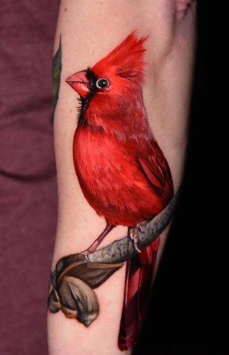 A vibrant cardinal perches gracefully on a delicate branch, its crimson plumage rendered with stunning photorealistic detail that makes the bird appear ready to take flight. The artist's masterful use of shading and color saturation creates incredible depth, while the natural curve of the forearm perfectly complements the bird's elegant posture 🕊️