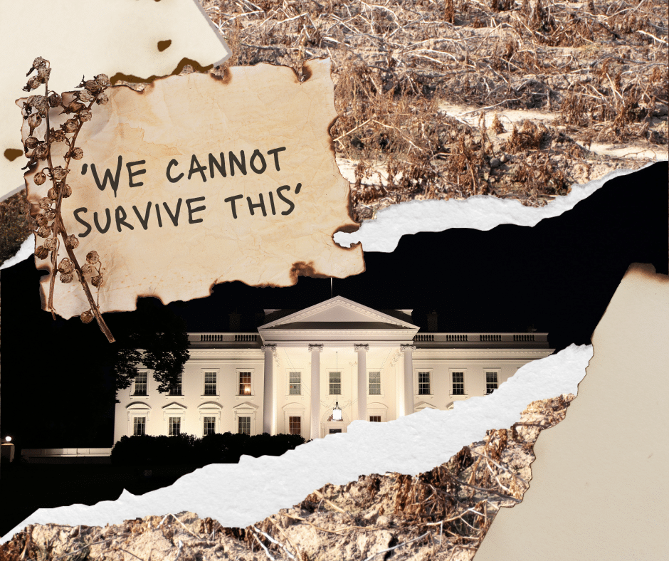 'We cannot survive this': Trump's cuts to USDA programs hurt