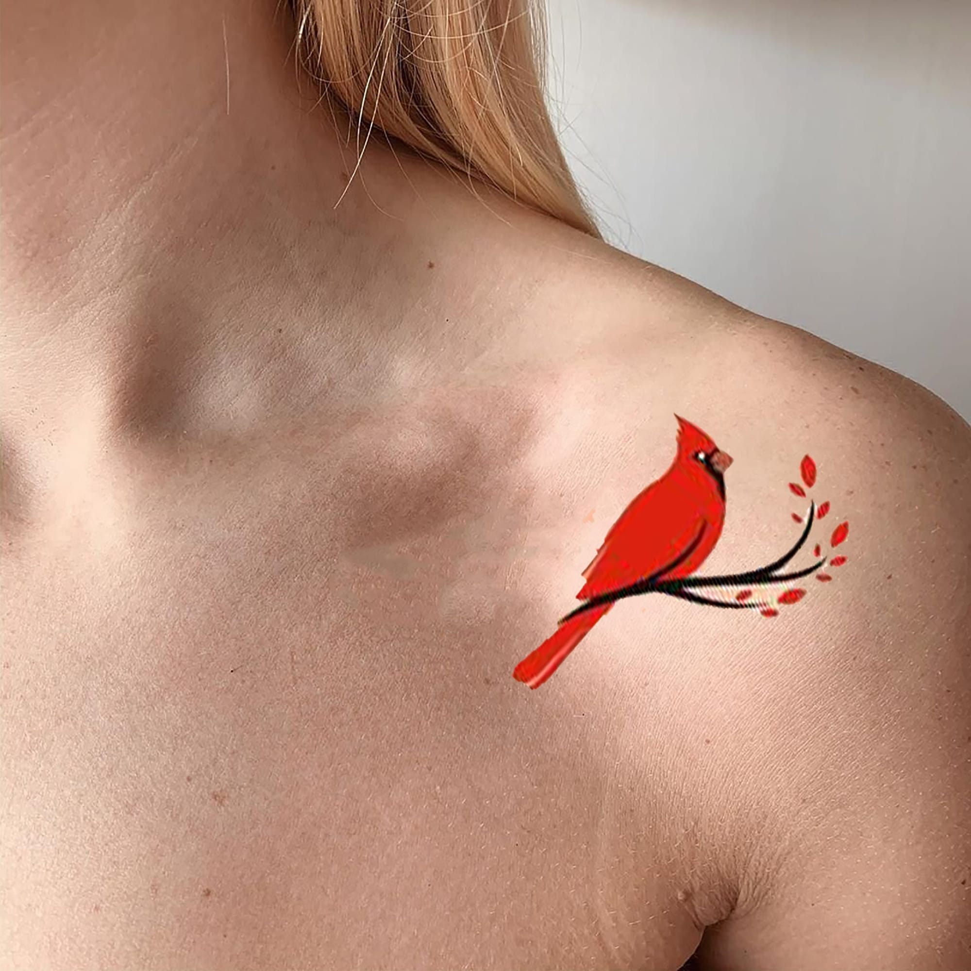 A brilliant cardinal perches gracefully on a delicate branch, its vibrant red plumage creating a stunning contrast against the natural skin tone on this shoulder blade placement. The artist's attention to detail shines through in the bird's expressive black eye and the subtle red berries adorning the branch, making this piece feel both elegant and meaningful 🐦 Perfect symbolism for remembrance, hope, or celebrating life's precious moments.