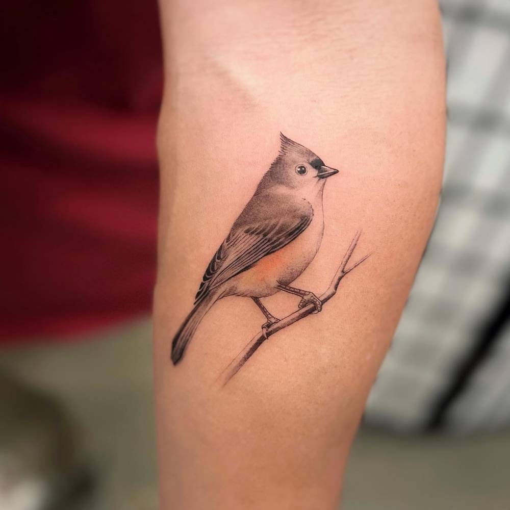 Delicate line work brings this charming songbird to life, perched gracefully on a slender branch that follows the natural curve of the forearm. The artist's masterful use of soft shading and realistic proportions creates an almost lifelike quality that makes you want to reach out and gently stroke its feathers 🕊️ A timeless piece that captures the gentle spirit of nature in stunning detail.