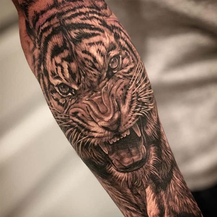 Fierce intensity radiates from this masterfully executed tiger portrait, where every whisker and stripe demonstrates exceptional black and gray realism. The snarling expression captures raw power in motion, while the strategic forearm placement creates a bold statement piece that commands attention from every angle. 🐅