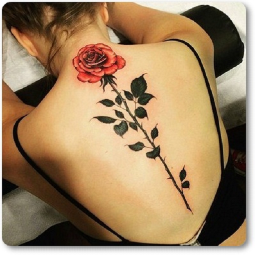A single crimson rose blooms dramatically across this woman's spine, its long thorny stem cascading down her back like nature's own elegant brushstroke. The realistic shading on the flower head creates stunning contrast against the minimalist black silhouette of leaves below, making this botanical design feel both delicate and boldly striking 🌹