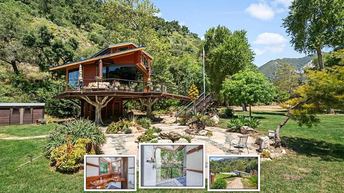 This Treehouse Has a Plane for Guests