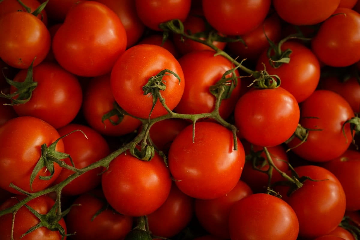 Never Store Tomatoes in the Fridge—Here’s What Top Chefs Do Instead