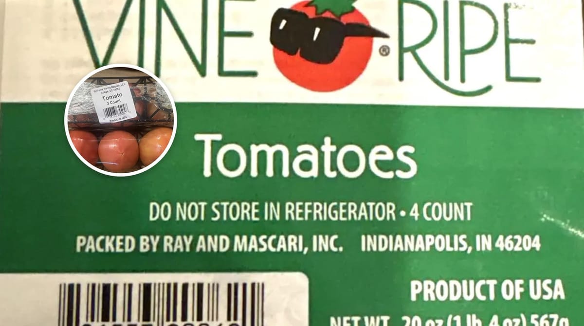 Salmonella-contaminated tomatoes sold across 14 states for weeks before recall as health officials admit they have no idea how many people already consumed them