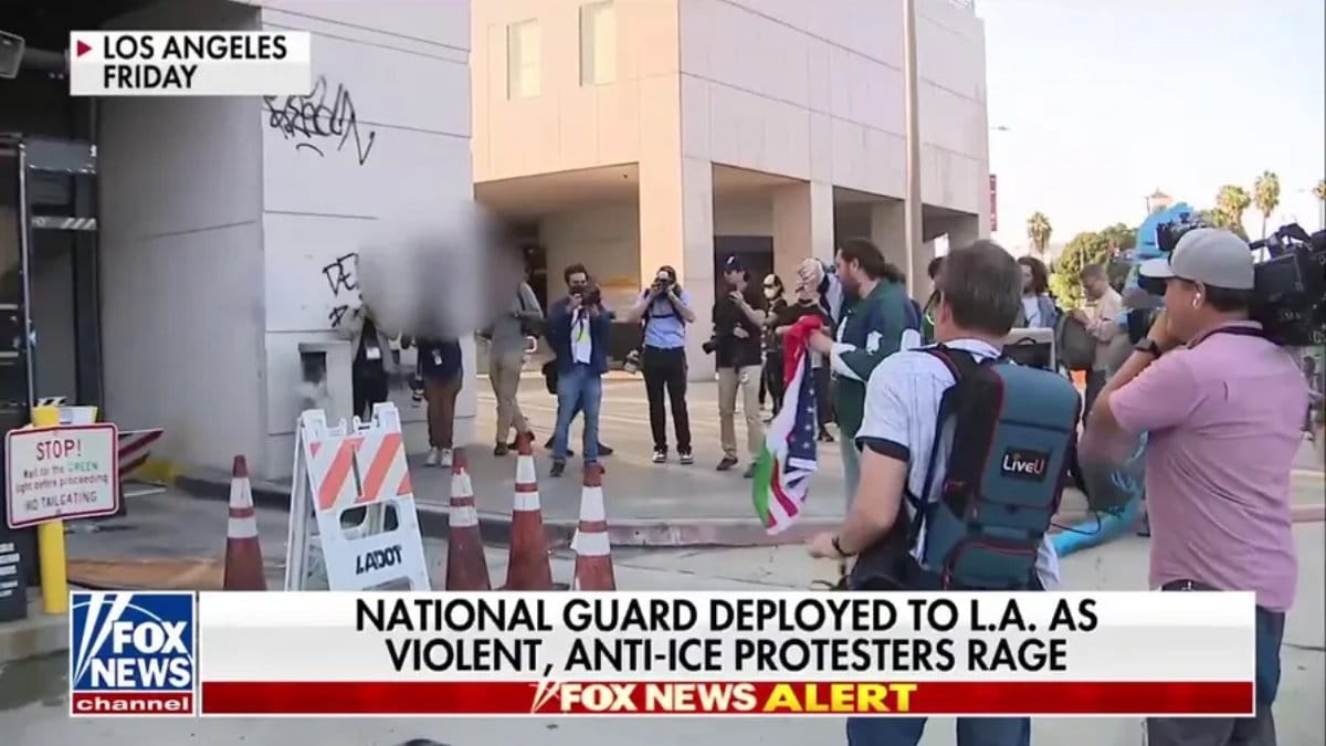 Expert Warns Anti-Trump Protests Not Spontaneous Orchestrated By Democrats