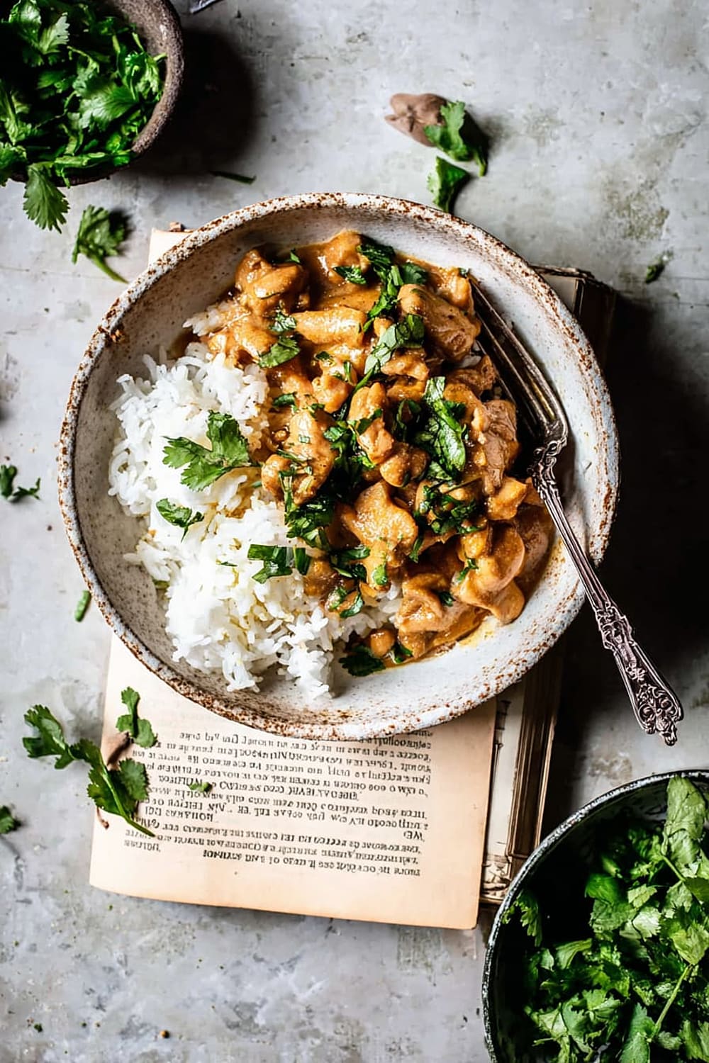 Quick Burmese Chicken Curry