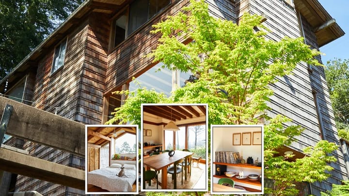 This 1970s Treehouse Grew Up But Kept Its Hippie Heart