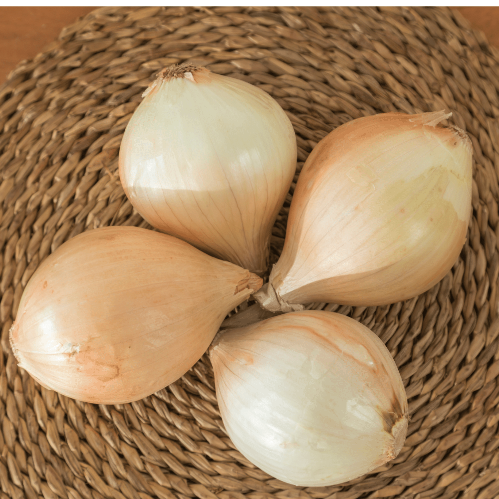 Sweet onion