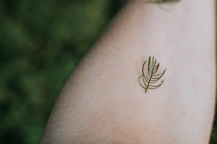 a woman's arm with a tattoo of a leaf on it